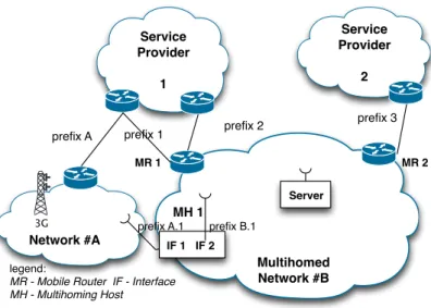 Figure 2.3: Hybrid multihoming scenario