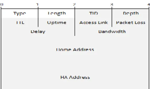 Fig. 7.  Gateway Information Sub-Option (GISO) 