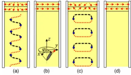FIG. 1. ��respectively, and blue circles denote defects. The director distribu-tion in the Smrovastate, resulting in zero spontaneous polarization