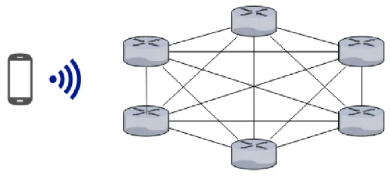 Figure 1.2: Mesh Topology