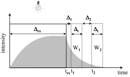 Figure 5: Scheme of the rapid lifetime determination (RLD) method. The fluorophore is excited by a short light pulse (∆ ex )