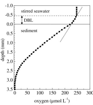 Figure 7: Typical oxygen profile measured with a Clarke-type microsensor in muddy sediment (Weddewarden,  German  North  Sea)