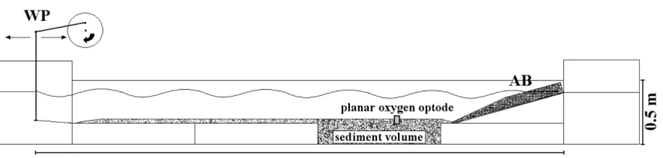 Figure 1: Wave tank setup; WP = wave paddle, AB = artificial beach.