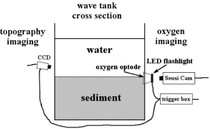 Figure 2: Side view of the setup for the simultaneous oxygen  and surface topography imaging in the wave tank.