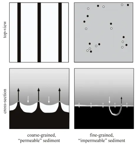 Figure 10: Top views (upper panels) and cross-sections of a coarse-grained, rippled, permeable sediment  (left)  and  a  fine-grained,  impermeable  bed  (right)