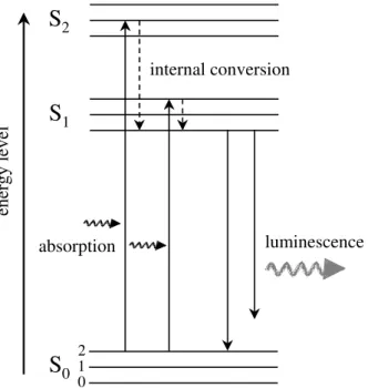 Figure 2: Simplified diagram of energy levels of an electron in a dye molecule. Absorption of a quantum of higher energy light (e.g., blue or green) leads to the excitation of the electron from its ground  energy  state  (S 0 )  to  an  excited  state  (S 