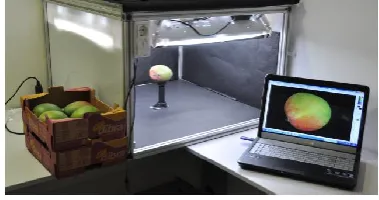 Figure 3: Setup used to capture the images  