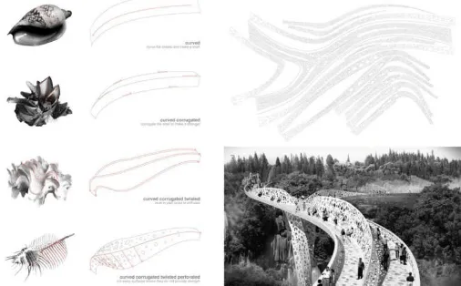 Figure 9 Shi-Ling Bridge-Tonkin Liu Architects, “Form of a seashell” 