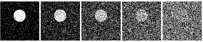 Figure 2: An example frame with 10%, 30%, 50%, 70% and 90% salt and pepper noise.