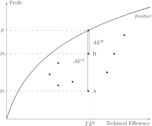 Figure 4: Allocative efficiency in profit–technical efficiency space