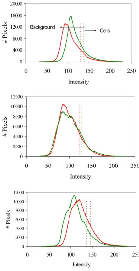 Figure 1Computer generated histograms from 3 different images after staining with EB and Syto 13