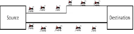 Figure 1.  Ants take the shortest path from source to destination 