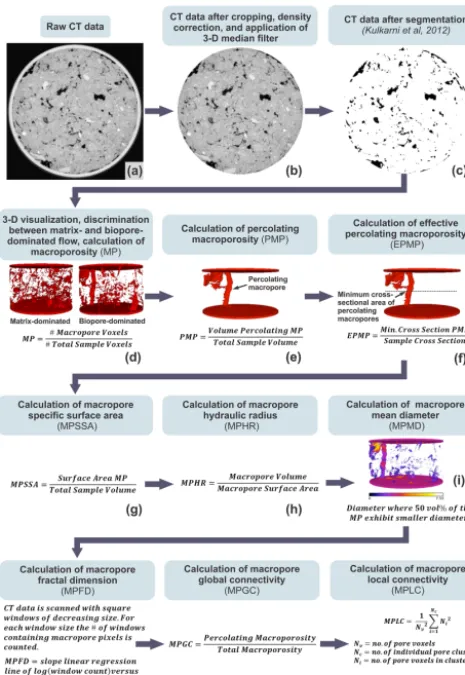 Figure 1. Flowchart illustrating all performed CT-data enhance-ment, segmentation, and analysis steps.