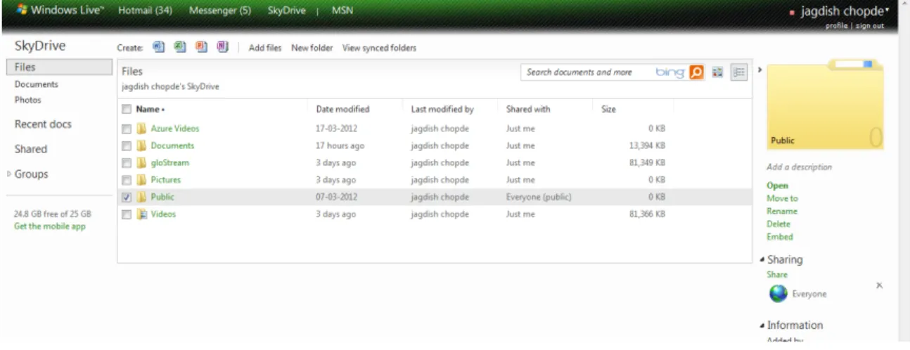 Figure 6.2: Windows Live skyDrive