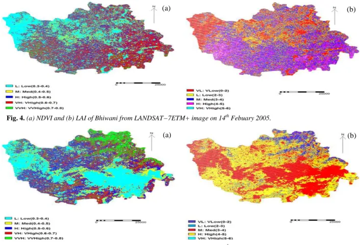 Fig. 5. (a) NDVI and (b) LAI of Bhiwani from LANDSAT−7ETM+ image on 03 th  March 2005