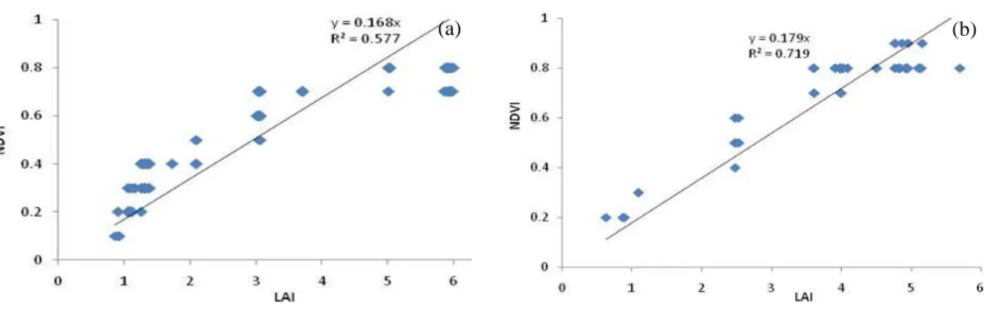 Fig. 7. Relation between LAI and NDVI during (a) 14 th  Febaury 2005 and (b) 03 th  Mach 2005