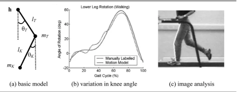 Figure 2 Model-based gait recognition (Yam et al., 2002b)