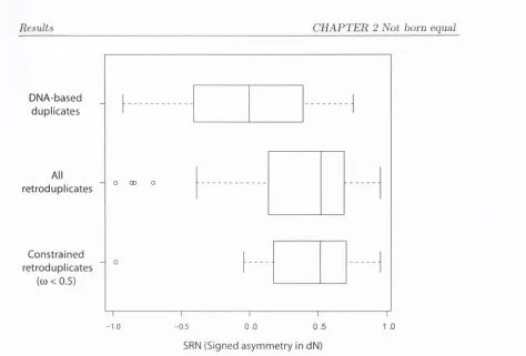 Figure 2-2: Signed nonsynonym ous sequence asym m etry ( S R N ) am ong distant duplicates fo r whichthe direction of transposition is known