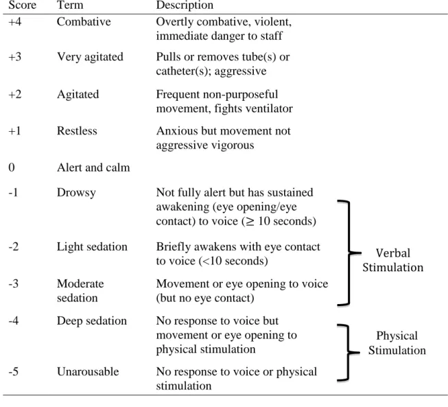 Figure 2.1 Linking RASS and CAM-ICU in a two-step assessment 