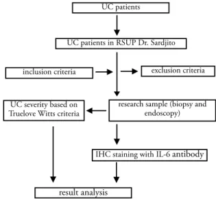 Figure 1. Research fl ow