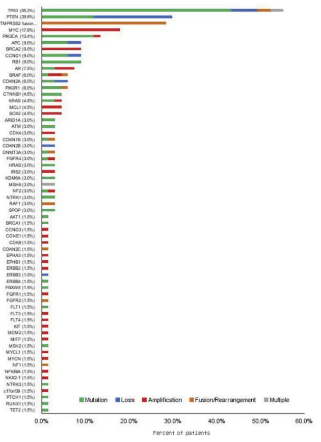 Figure 1. Genomic aberrations in prostate cancer. Next-generation sequencing was performed in 67 prostate cancer patient specimens