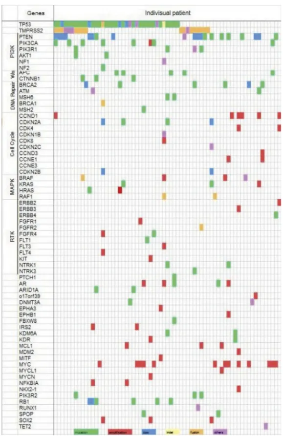 Figure 3. Visualization of genomic alteration patterns in individual patient. Each color represents genomic alterations in each patient