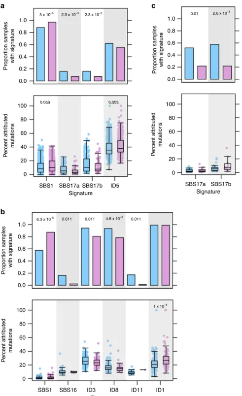 Fig. 3 Sex differences in mutational signatures related to mutational processes. Comparisons between proportions of signature-positive samples (top) and signature activity (bottom) for a pan-cancer comparisons, b liver hepatocellular cancer, and c B-cell n