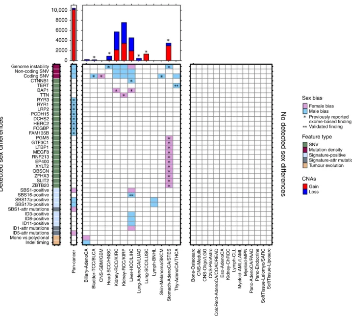 Fig. 4 The landscape of sex differences in cancer genomics. Summary of genomic features found to be sex-biased in pan-cancer analysis or in speci ﬁc tumour subtypes