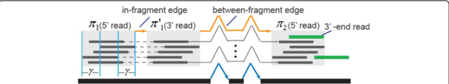 Figure 3 An example of the compressed flow network. Reads colored black are grouped into 3 clusters (light gray)