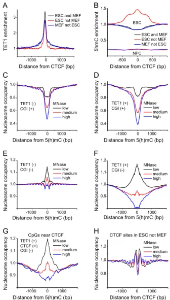 Figure 3. Distribution of 5mC and 5hmC around CTCF sites in ESCs, NPCs, and MEFs. (A) 5mC density calculated around constitutive (‘‘ESC and MEF’’), variable (‘‘ESC not MEF’’), and weak (‘‘MEF not ESC’’) CTCF sites in ESCs from the published CTCF ChIP-seq d