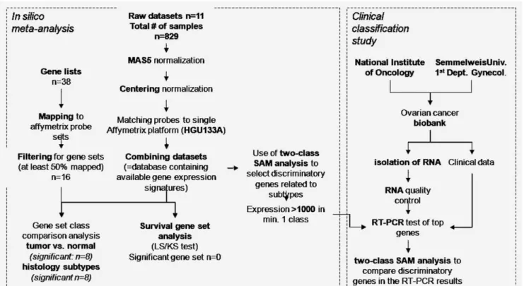 Figure 1. Overview of the study.
