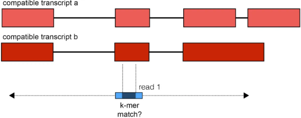 Figure 3: A check for alignment to partner transcript ensures correct fusion. 