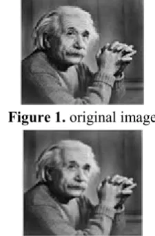 Figure 1.  original image 