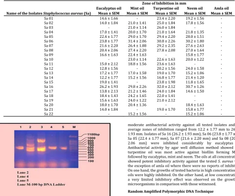 Table 2 Antibacterial activity of Essential oils against Staphylococcus aureus 