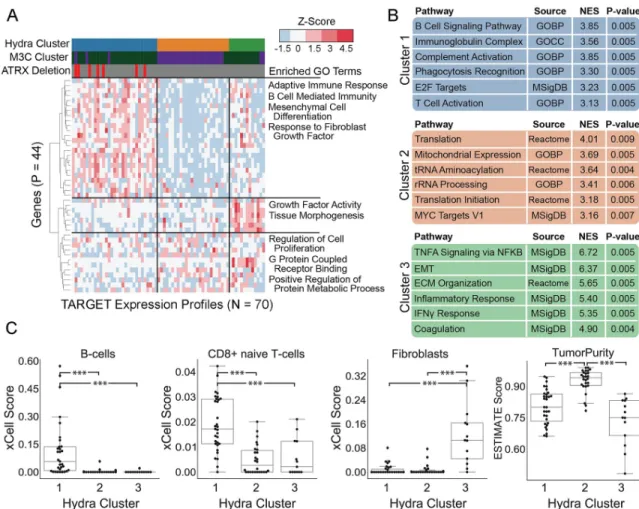 Fig 3. Hydra analysis identifies three distinct tumor microenvironment expression subtypes in MYCN non-amplified