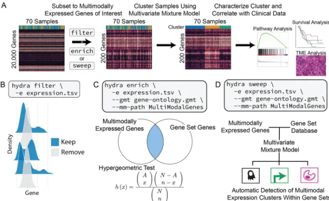 Fig 1. Overview of the hydra framework tools. A: Suggested workflow for applying hydra framework tools to identify clinically relevant gene expression subtypes