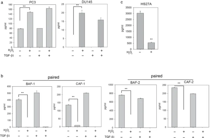 Figure 4.  Effect of hydrogen peroxide and transforming growth factor (TGF)-β1 on MMP-3 protein expression  in prostate cancer and stromal cells