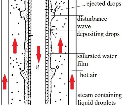 Figure 1 The schematic of disturbance wave in the annulus. 