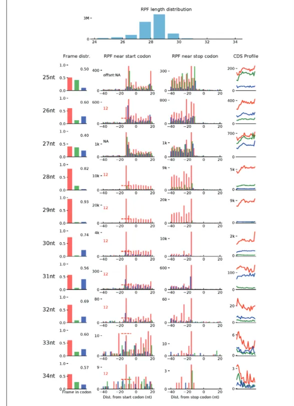 Figure 3 Quality check of Ribo-seq data using Ribo-TISH. The tool RiboTISH provides several visualizations to investigate the data quality of Ribo-seq
