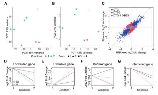 Figure 2 Translational regulation in sample data using DTEG.R script. Principal component analysis of (A) Ribo-seq and (B) RNA-seq datasets