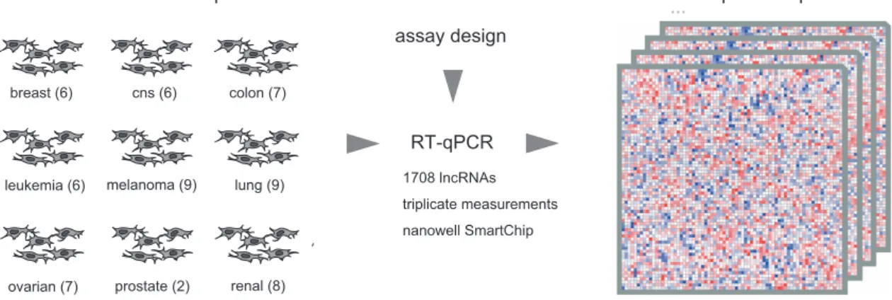Figure 1. Data generation workﬂow. RNA isolated from NCI60 cell lines was reverse transcribed and proﬁled using 1707 lncRNA assays on a SmartChip system.