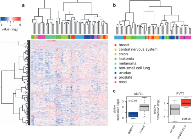 Figure 3. Validation of the NCI60 lncRNA expression data. (a) Hierarchical clustering of NCI60 cell lines according to the lncRNA expression data