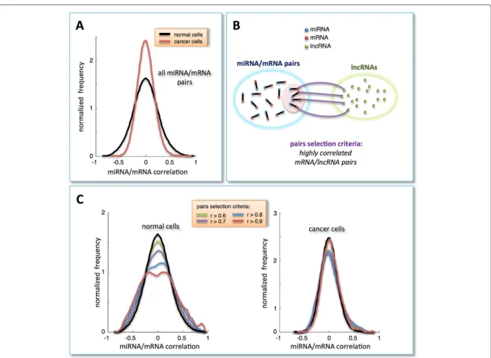 Figure 1 Correlation analysis. A) Distribution of Pearson correlation coefficients - normalized to unit area - for all combinations of miRNA and mRNA expression profiles in normal and cancer tissues (black and red lines, respectively)