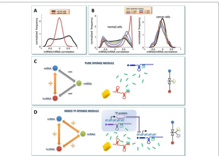 Figure 3 Correlation analysis for selected miRNA/mRNA pairs and RNA-interaction modules