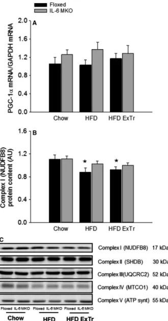 Figure 4. Hepatic PGC-1a mRNA content (A) and respiratory chain complex protein content (B,C) in Floxed and IL-6 MKO mice after 16 weeks on Chow, HFD or HFD with exercise training (n = 9–10).