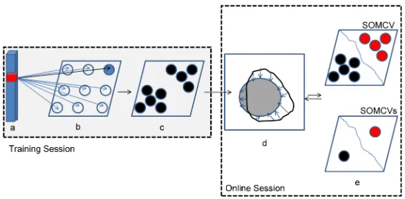 Fig. 1: The architecture of SOMCV for RGB images: (a) the input intensities of a training voxel; (b) a 3 × 3SOM neural map (with a three-dimensional prototype associated with each neuron); (c) the trained SOM; (d)the contour evolution process; and (e) the 