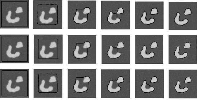 Fig. 3: The effectiveness of the SOMCV model in dealing with objects characterized by many different intensi-ties and skewness/multimodality of the foreground intensity distribution