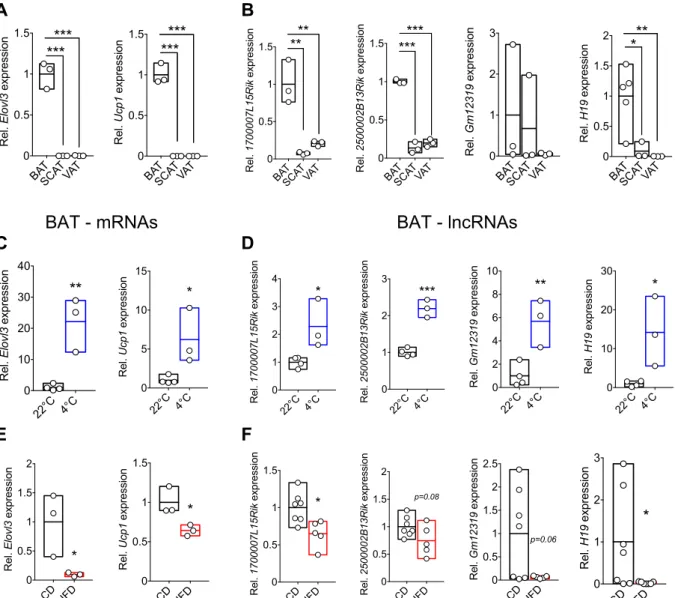 Figure	5:	BAT-specific	candidate	lncRNAs	reveal	similar	expression	pattern	as	BAT-associated	    