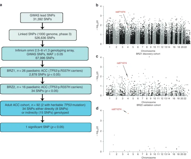 Fig. 3 GWAS approach to identify the genetic modiﬁers in ACC age-of-onset. a A ﬂow chart representing the focused analytical approach taken to identify potential GWAS SNPs, which associate with differential age of ACC onset