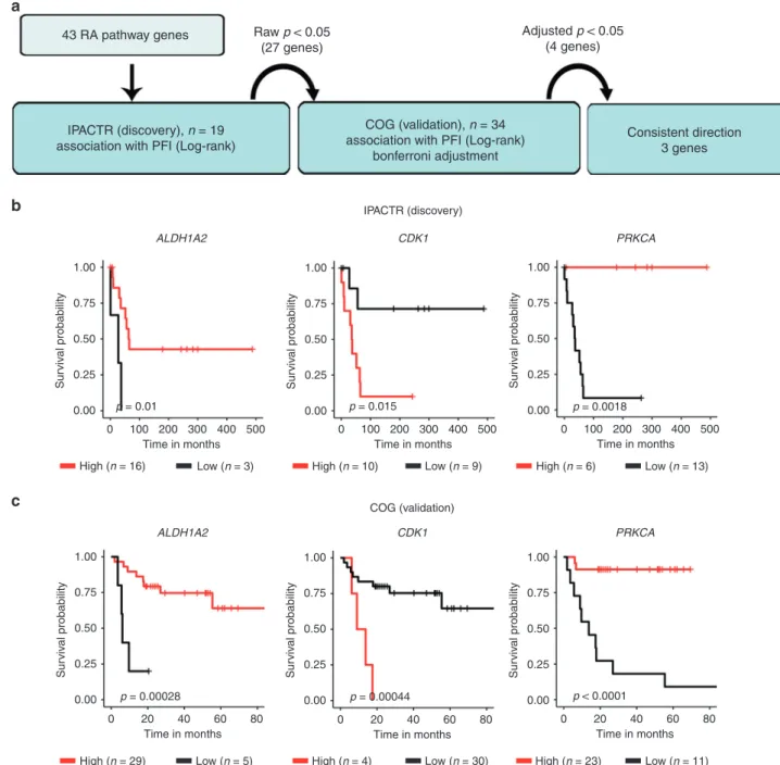 Fig. 5 Expression levels of RA pathway genes in ACC associate with progression in paediatric patients
